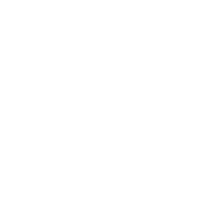 3. Sichere Beladung & Umzugstransport in Friedrichshafen